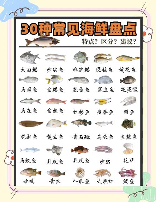 冷水海鲜 热带海鲜区别-图3