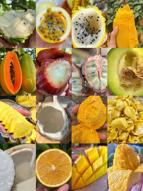 吃完海鲜后能吃什么水果-图3