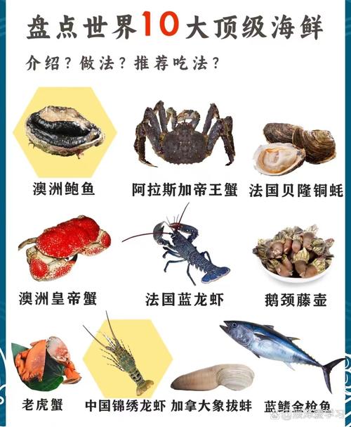 海鲜名称与图片大全,如何快速查找与辨别?-图2 海鲜名称与图片大全,如何快速查找与辨别?-图2