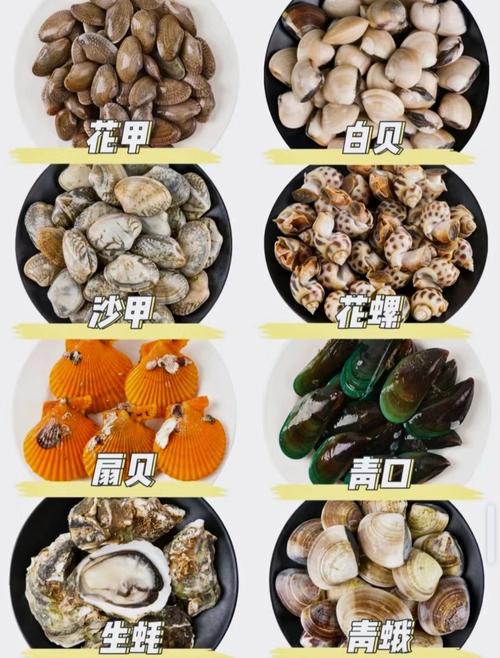 海鲜名称如何快速对应图片识别?-图2 海鲜名称如何快速对应图片识别?-图2