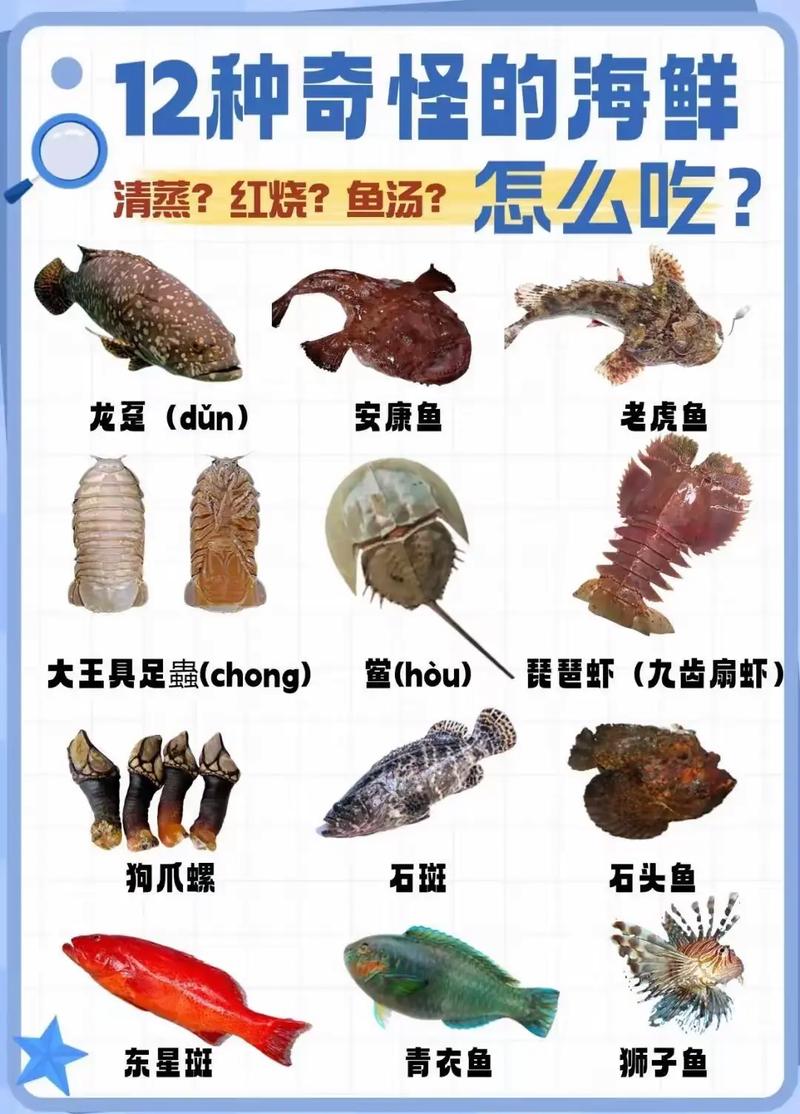 海鲜名称如何快速对应图片识别?-图1 海鲜名称如何快速对应图片识别?-图1