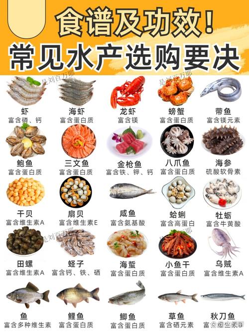 海鲜菜谱大全带图片，哪种做法最易学又美味？-图3