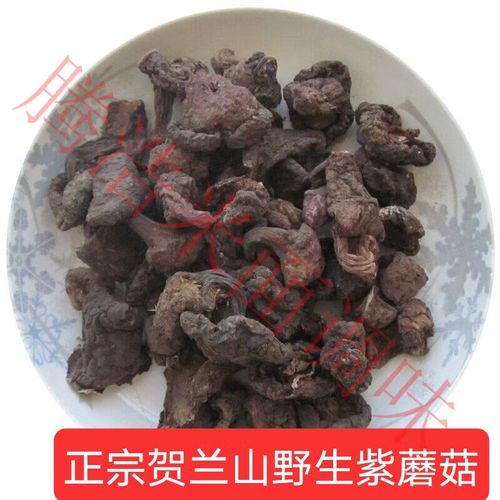 紫菇家常做法有哪些?-图2 紫菇家常做法有哪些?-图2