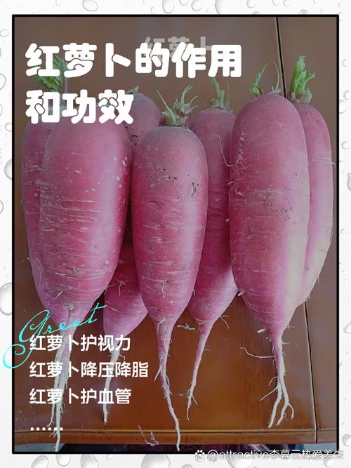 红罗卜家常做法有哪些？-图3