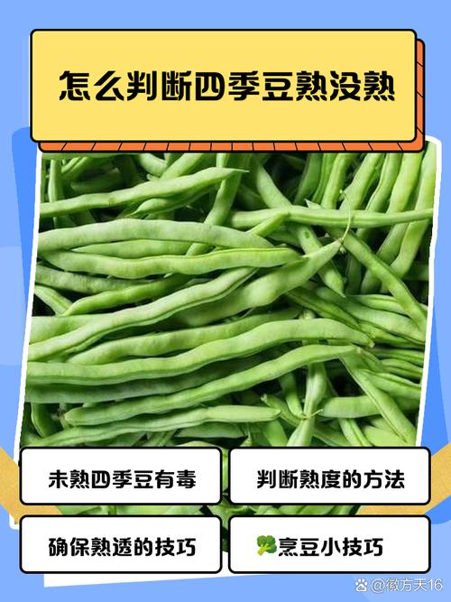 十个月宝宝能吃四季豆吗？-图3