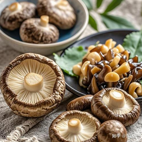 香菇海鲜同食安全吗？-图3