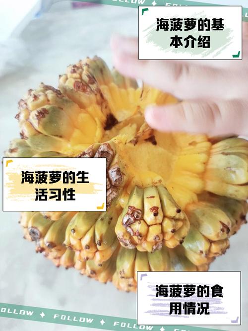菠萝可以和海鲜一起吃吗-图1