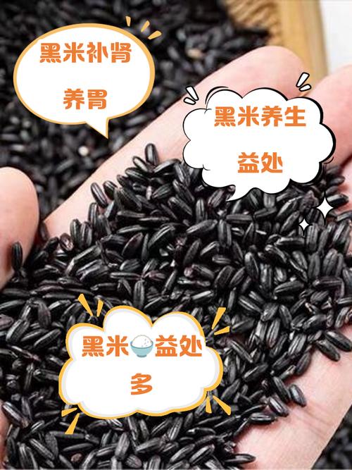 黑米6个月宝宝可以吃吗-图1 黑米6个月宝宝可以吃吗-图1