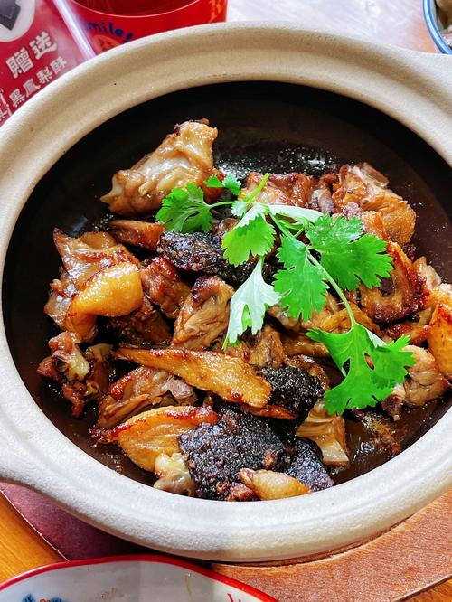 炖老鸭家常做法大全家常-图1