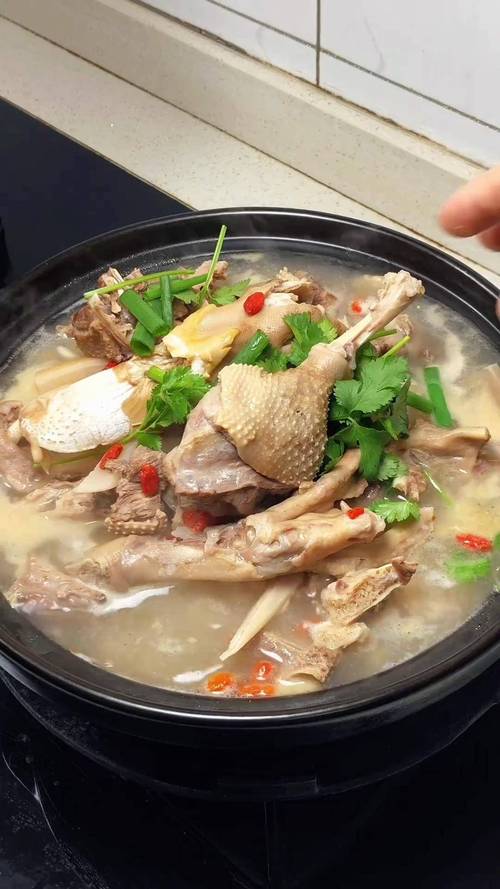 炖老鸭家常做法大全家常-图3