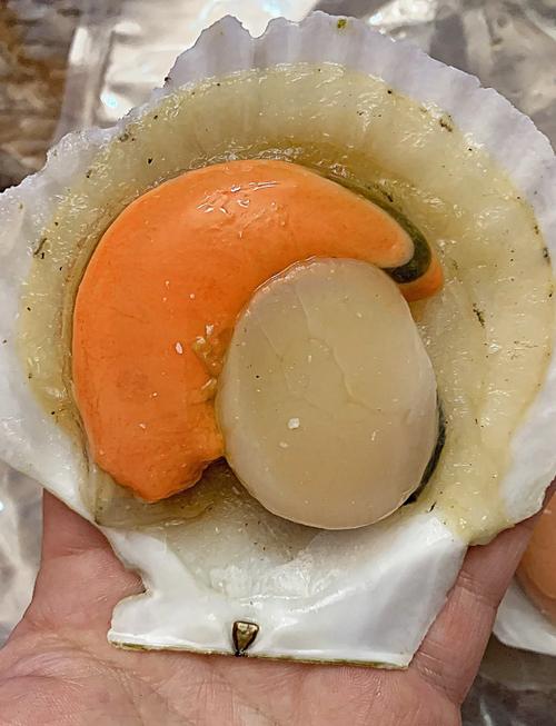 仙贝海鲜怎么处理？视频教你轻松搞定！-图1