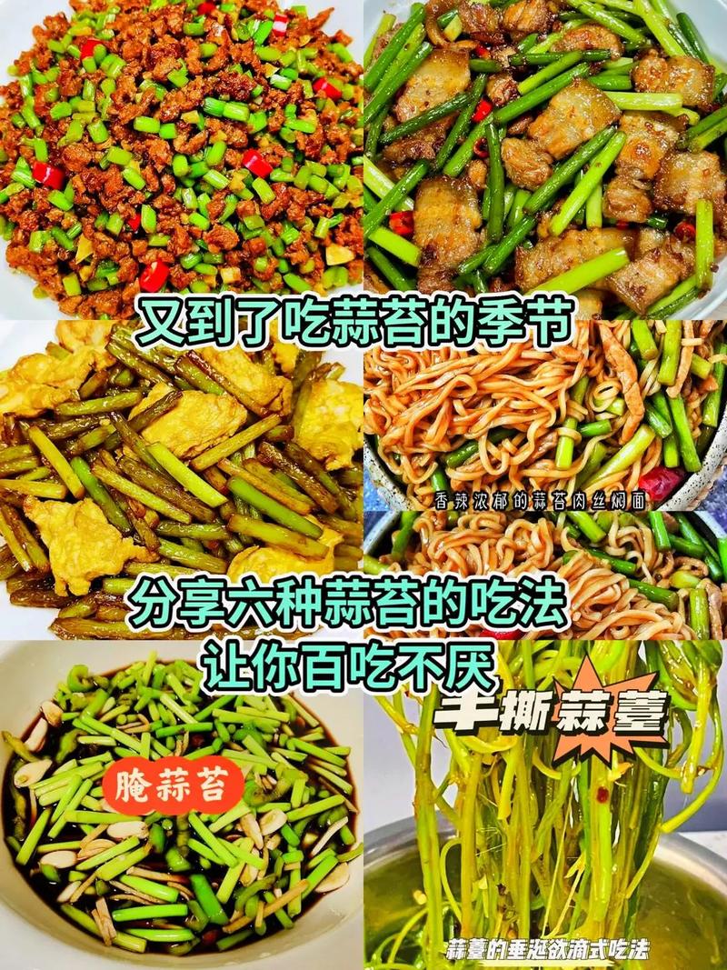 家常炒蒜苔做法大全家常-图2 家常炒蒜苔做法大全家常-图2