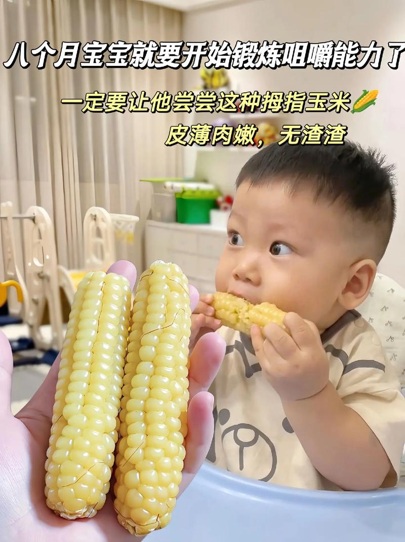 八个月宝宝能吃玉米吗?-图1 八个月宝宝能吃玉米吗?-图1