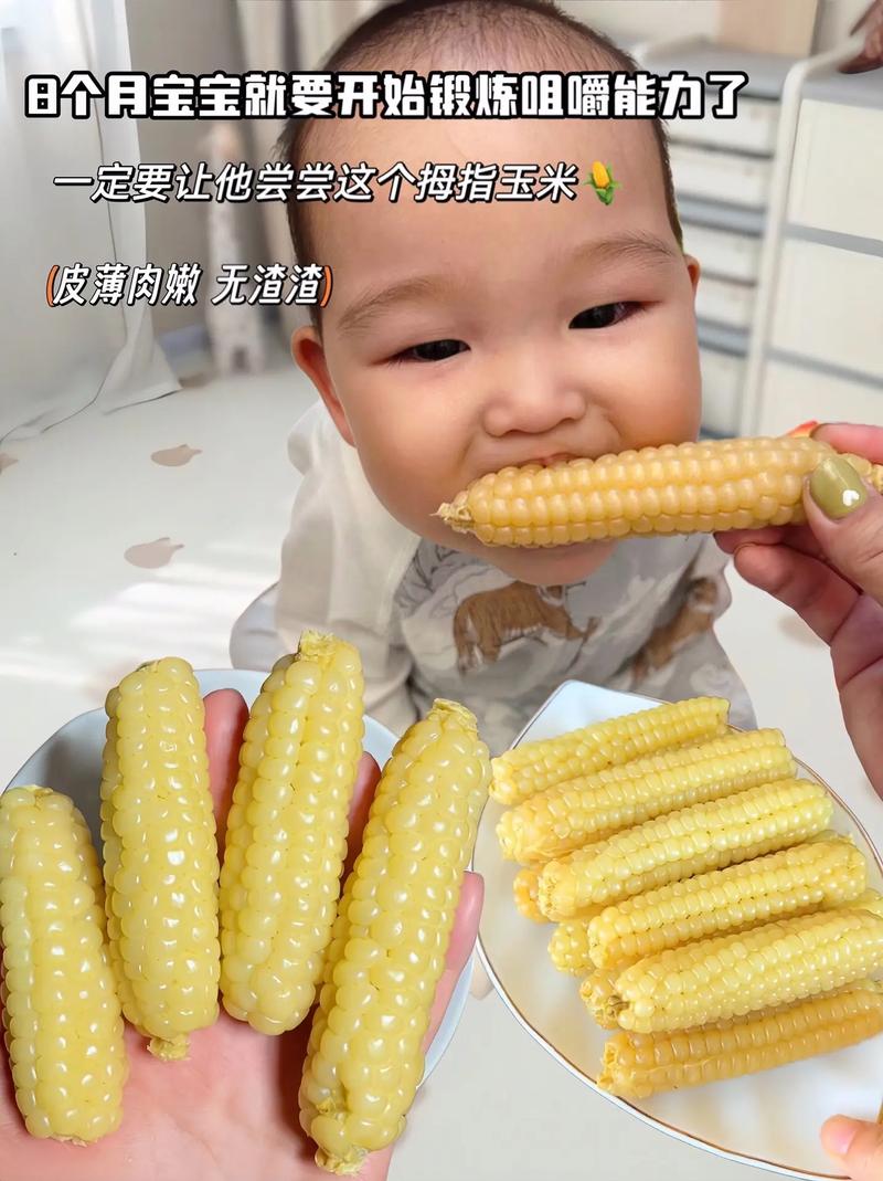 八个月宝宝能吃玉米吗?-图2 八个月宝宝能吃玉米吗?-图2
