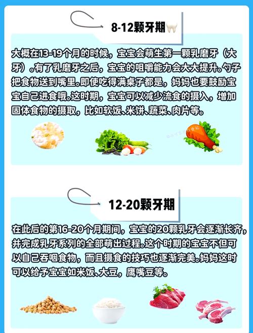 宝宝吃磨牙饼干的月龄是？-图2