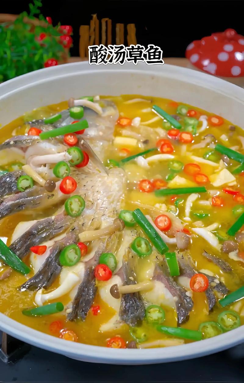 家常草鱼怎么做?家常做法大全来了?-图1 家常草鱼怎么做?家常做法大全来了?-图1