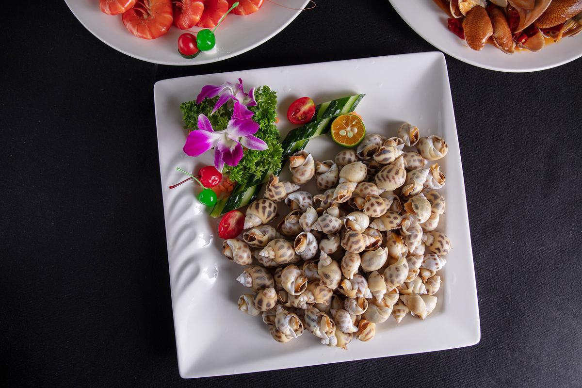 夏季海鲜热销款有哪些?-图2 夏季海鲜热销款有哪些?-图2