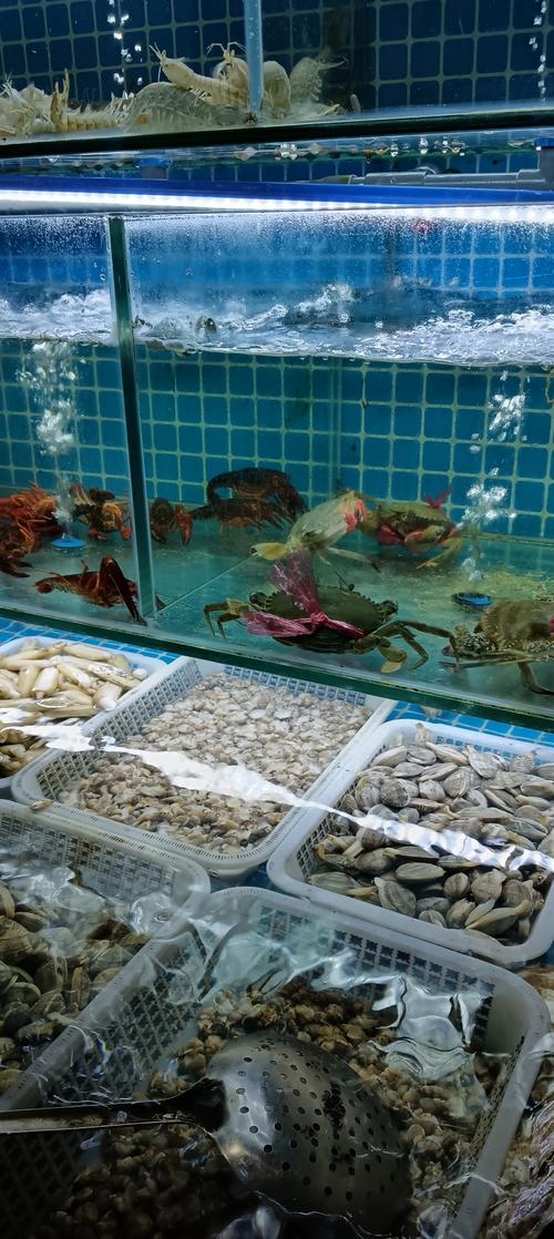 夏季海鲜热销款有哪些?-图1 夏季海鲜热销款有哪些?-图1