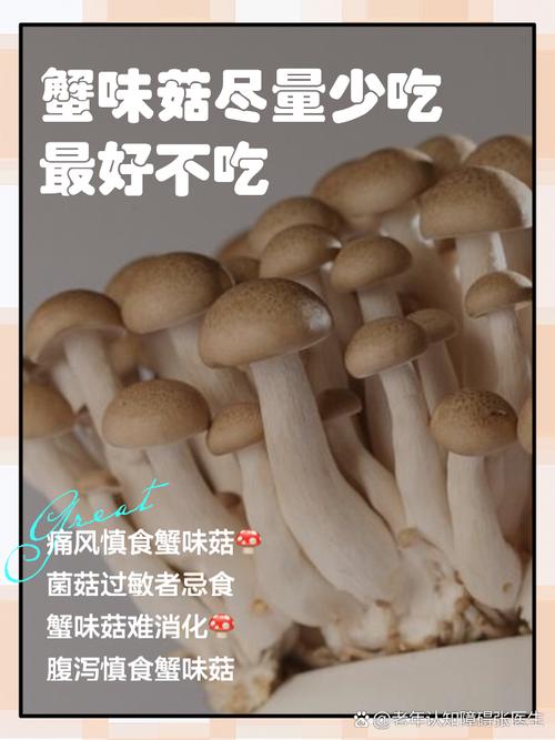 海鲜菇得功效和和做法-图1 海鲜菇得功效和和做法-图1