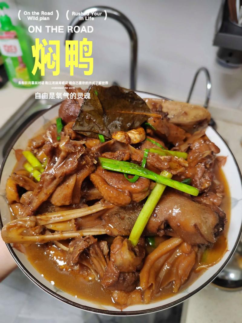 焖鸭肉家常做法大全家常-图1 焖鸭肉家常做法大全家常-图1