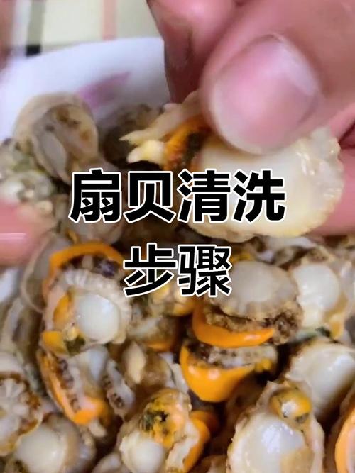 扇贝肉怎么洗才干净无泥沙？-图1