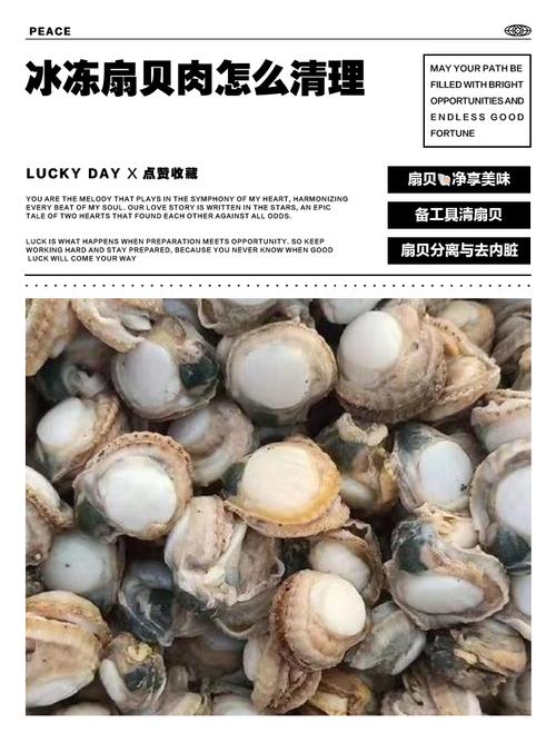 扇贝肉怎么洗才干净无泥沙？-图2