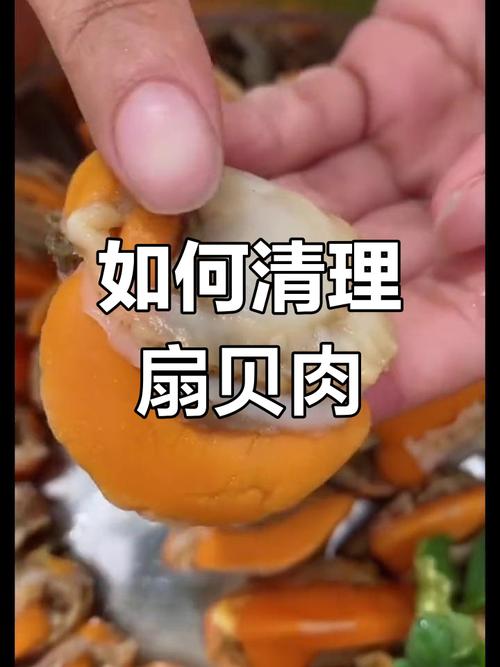 扇贝肉怎么洗才干净无泥沙？-图3