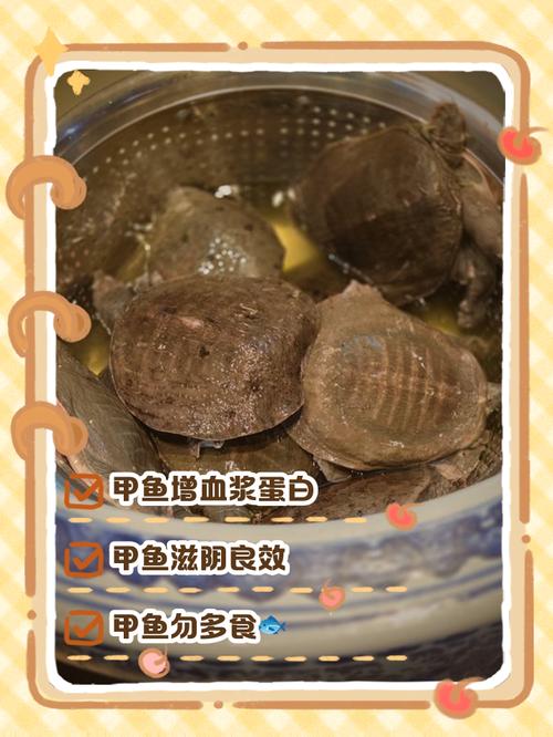 甲鱼与海鲜相克吗？一起吃会中毒吗？-图1