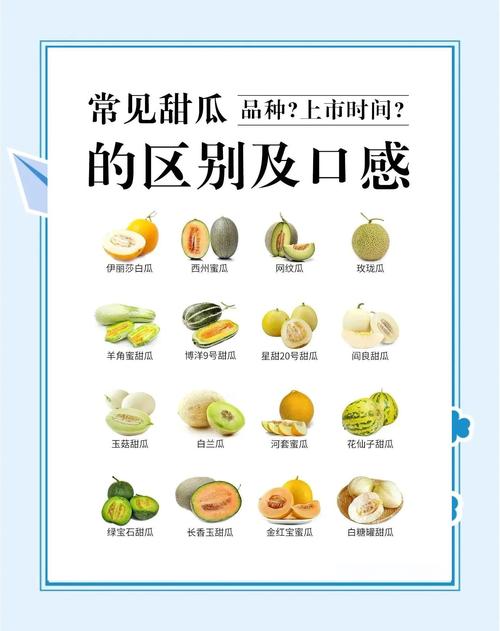 海鲜后吃甜瓜会中毒吗？-图3