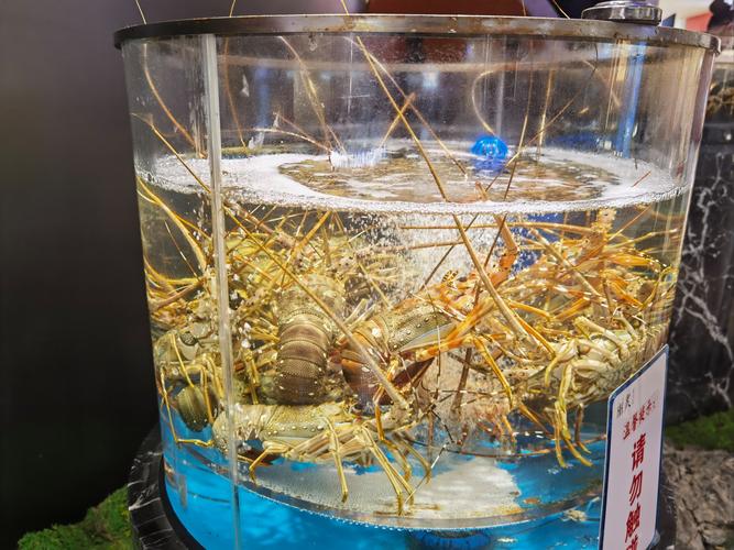 吃海鲜后喝茶了怎么办？会中毒吗？-图3