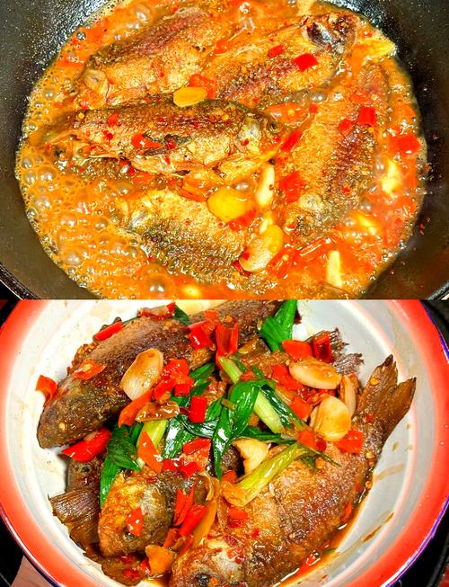 家常小鲫鱼图片大全家常-图1