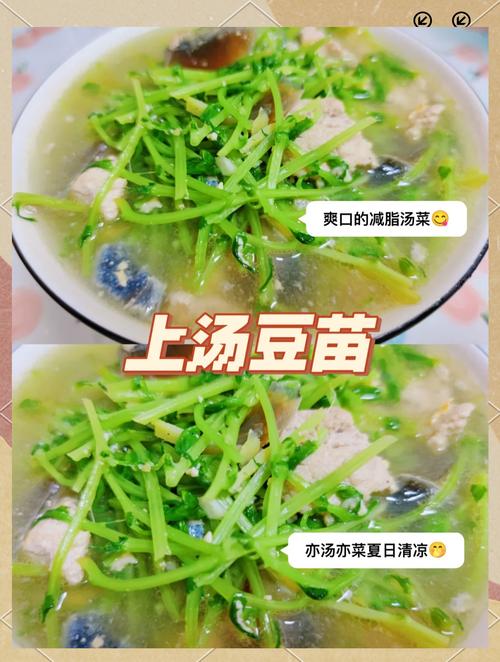 家常煮豆芽做法有哪些？-图1