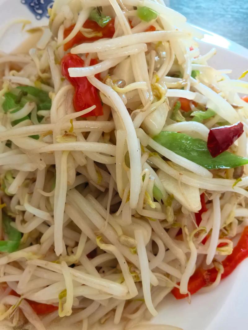 家常煮豆芽做法有哪些？-图3