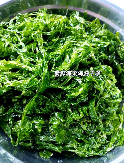 海发菜家常做法有哪些？-图1