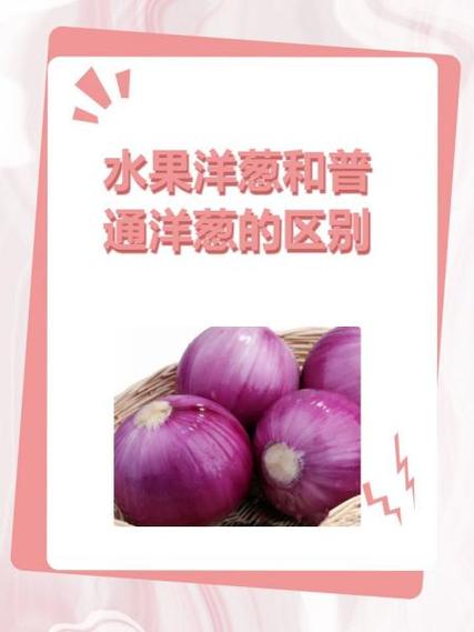 海鲜洋葱同食会中毒吗?-图1 海鲜洋葱同食会中毒吗?-图1