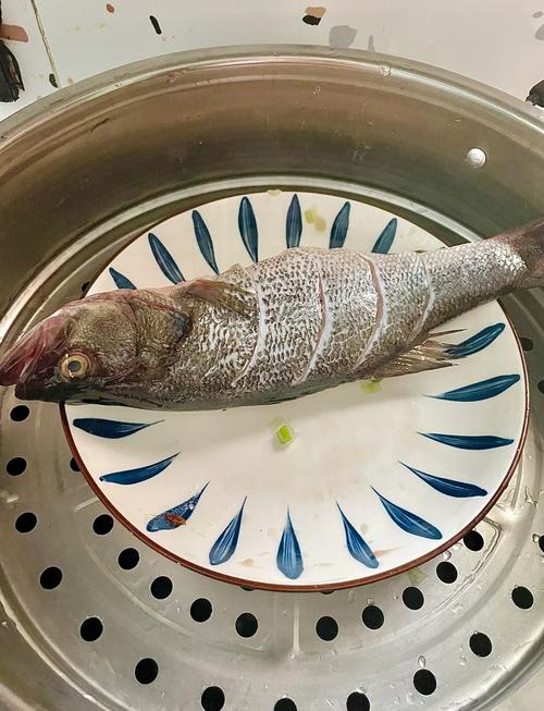 宝宝吃鲈鱼怎么做才好吃?-图3 宝宝吃鲈鱼怎么做才好吃?-图3