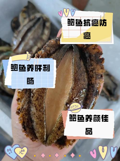 月经期吃鲍鱼海鲜会怎样？-图2