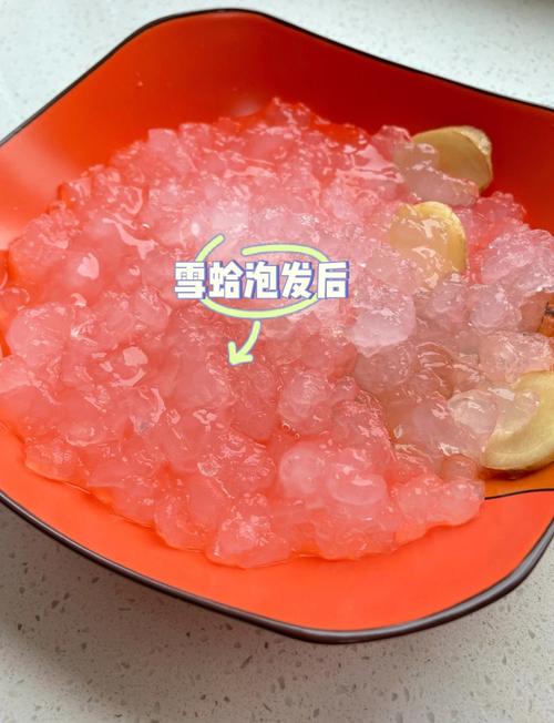 雪蛤海鲜怎么做好吃?做法图片有哪些?-图2 雪蛤海鲜怎么做好吃?做法图片有哪些?-图2