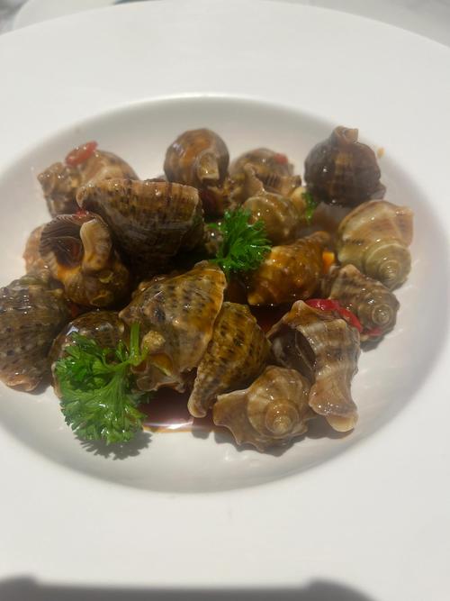 小海螺家常做法有哪些?-图2 小海螺家常做法有哪些?-图2