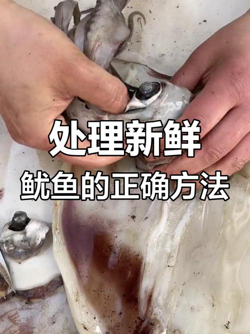 日本鱿鱼处理视频为何让人不适？-图3