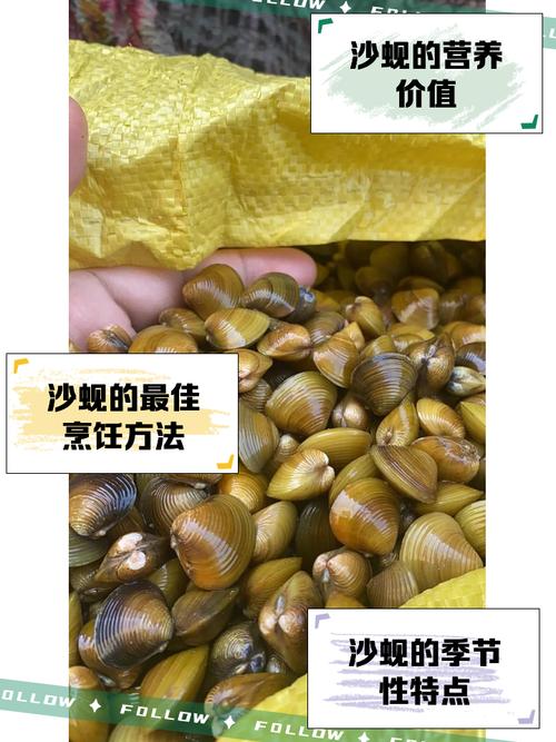 海鲜蚬子怎么快速去沙吐净?-图2 海鲜蚬子怎么快速去沙吐净?-图2