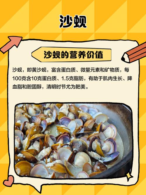 海鲜蚬子怎么快速去沙吐净?-图3 海鲜蚬子怎么快速去沙吐净?-图3