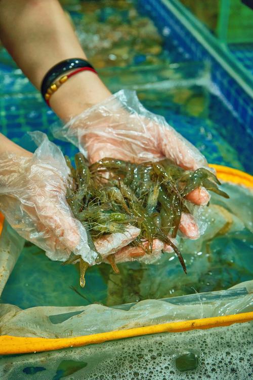 吃完海鲜出水,是身体还是食材的问题?-图3 吃完海鲜出水,是身体还是食材的问题?-图3