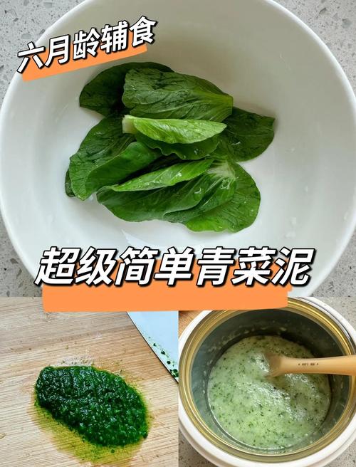 小白菜泥怎么做宝宝吃才安全营养?-图1 小白菜泥怎么做宝宝吃才安全营养?-图1