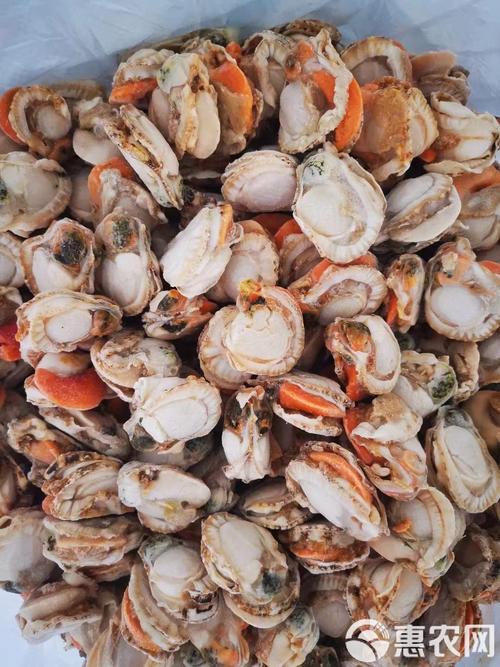 冬天能吃哪些海鲜？-图1