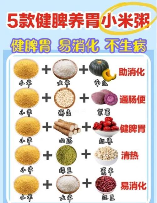 1岁宝宝肠胃不好,吃什么能调理好?-图3 1岁宝宝肠胃不好,吃什么能调理好?-图3