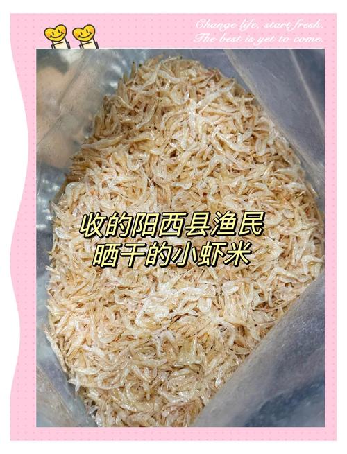宝宝几个月能吃虾皮粉？-图3
