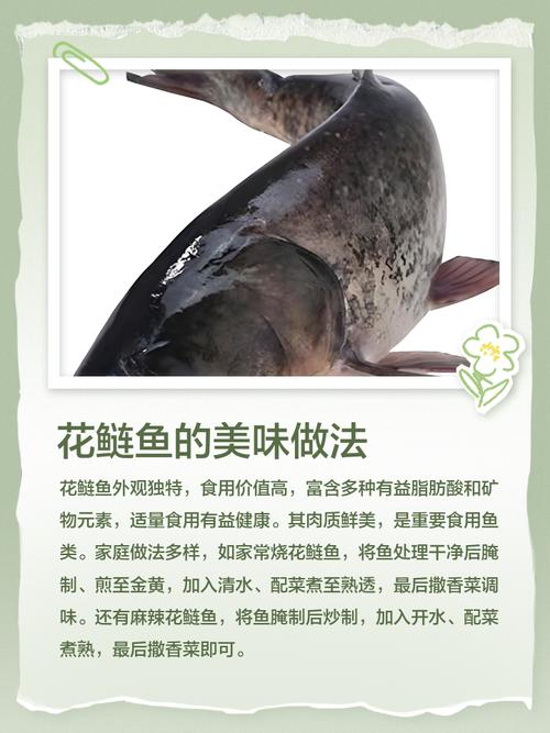 家常鲢鱼做法有哪些?-图1 家常鲢鱼做法有哪些?-图1