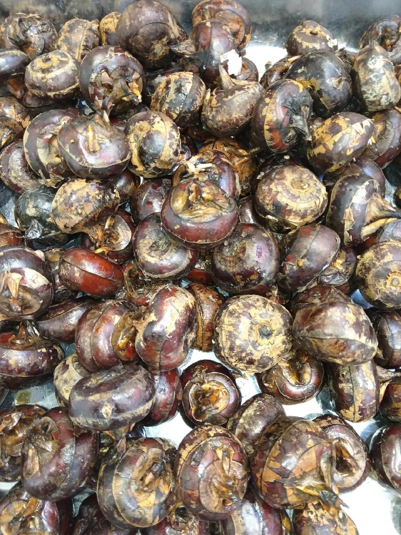 海鲜荸荠同食会相克吗？-图1