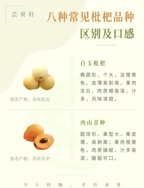 海鲜与枇杷能同食吗？-图3